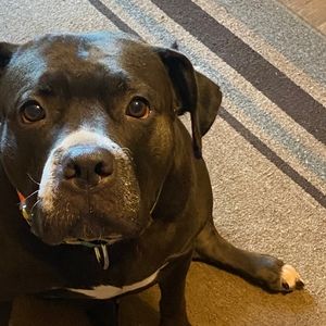 Meet your Posher, Ali